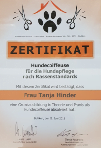 hundesalon zürich zertifikat